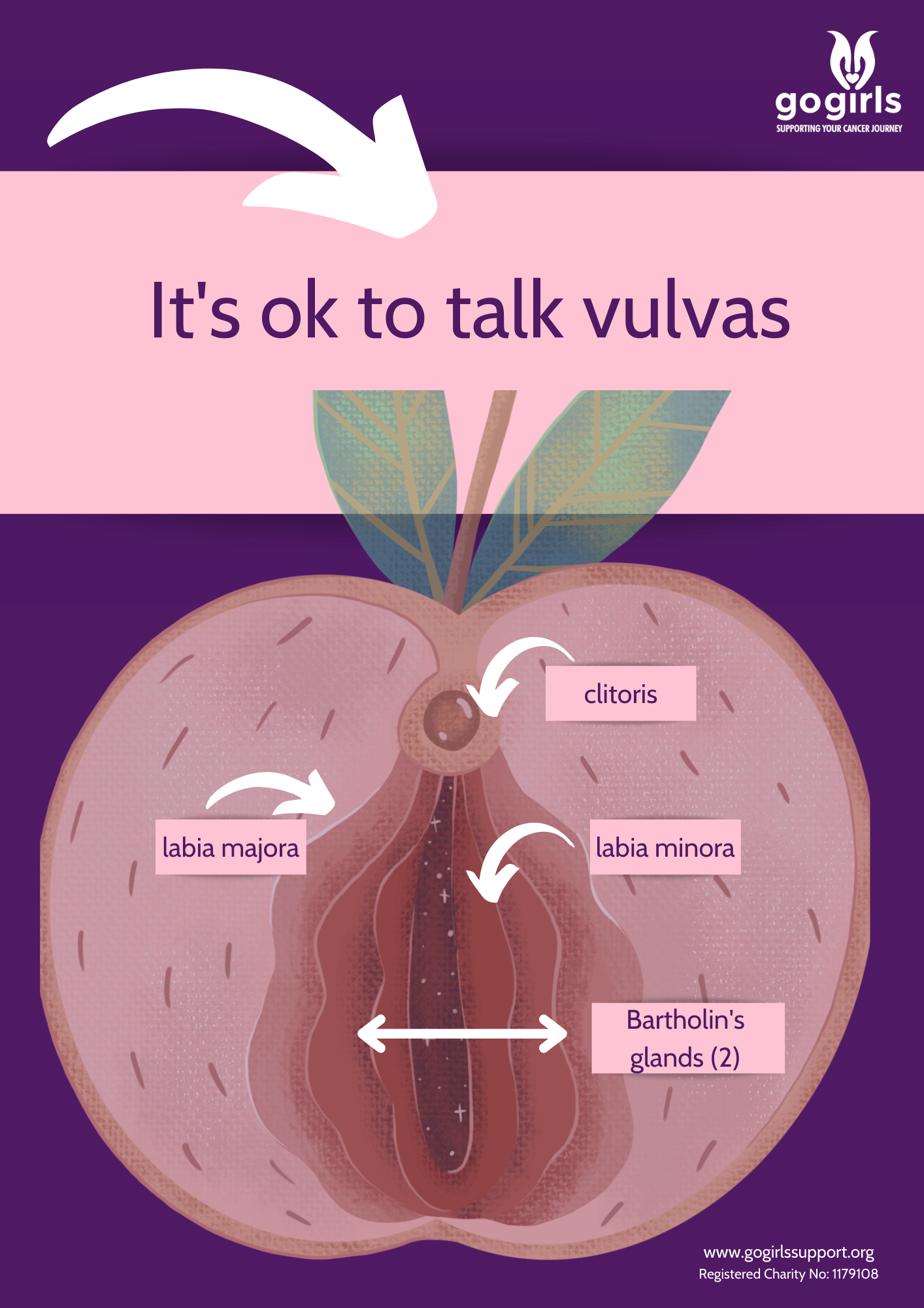 Vulval Cancer knowyourvulva